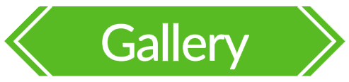 galeri